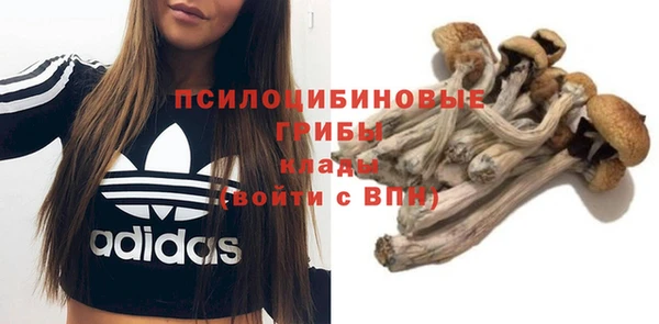 синтетический гашиш Алексин