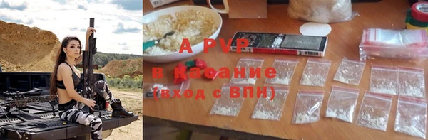 apvp Алзамай