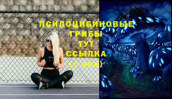 синтетический гашиш Алексин
