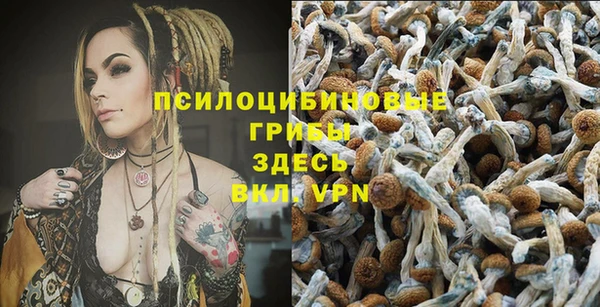 синтетический гашиш Алексин
