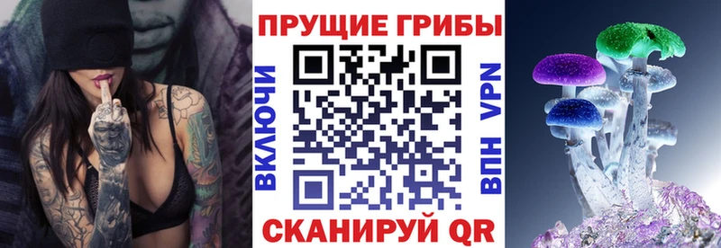 Псилоцибиновые грибы Magic Shrooms  площадка состав  Курчалой  hydra сайт 
